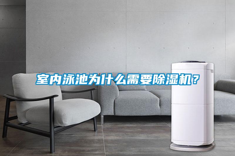 室內(nèi)泳池為什么需要除濕機？