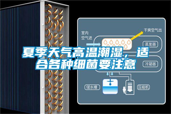 夏季天氣高溫潮濕，適合各種細(xì)菌要注意