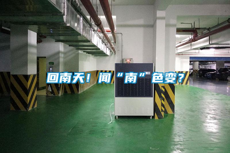 回南天！聞“南”色變？