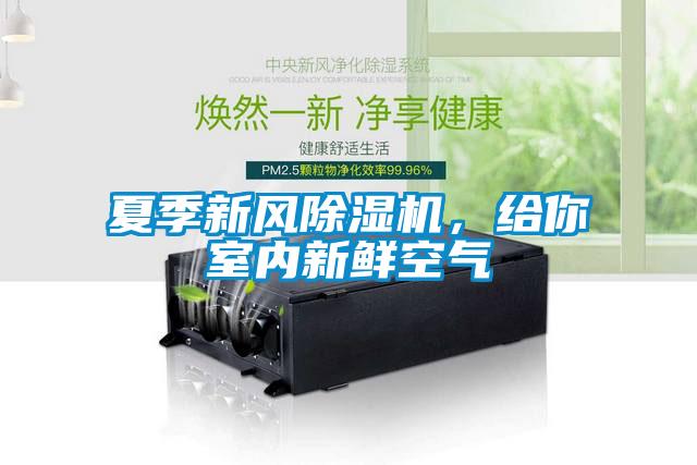 夏季新風(fēng)除濕機(jī)，給你室內(nèi)新鮮空氣