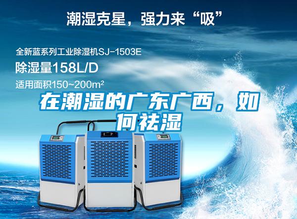 在潮濕的廣東廣西，如何祛濕