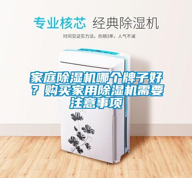 家庭除濕機(jī)哪個(gè)牌子好？購(gòu)買(mǎi)家用除濕機(jī)需要注意事項(xiàng)