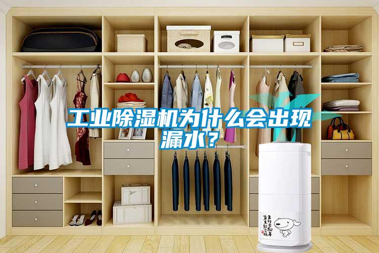 工業(yè)除濕機為什么會出現(xiàn)漏水？