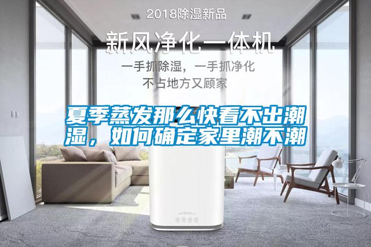 夏季蒸發(fā)那么快看不出潮濕，如何確定家里潮不潮