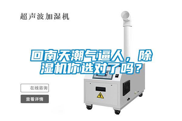回南天潮氣逼人，除濕機你選對了嗎？