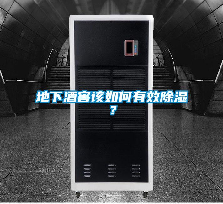地下酒窖該如何有效除濕？