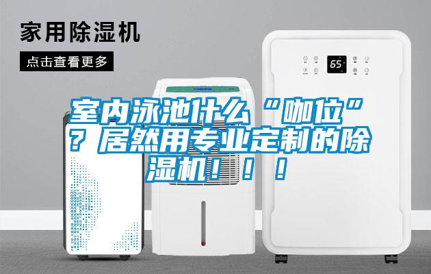 室內(nèi)泳池什么“咖位”？居然用專業(yè)定制的除濕機(jī)！?。?/></p>
						    <p style=