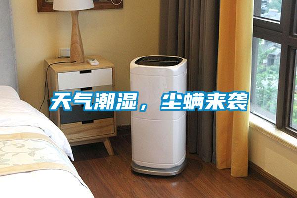 天氣潮濕，塵螨來襲