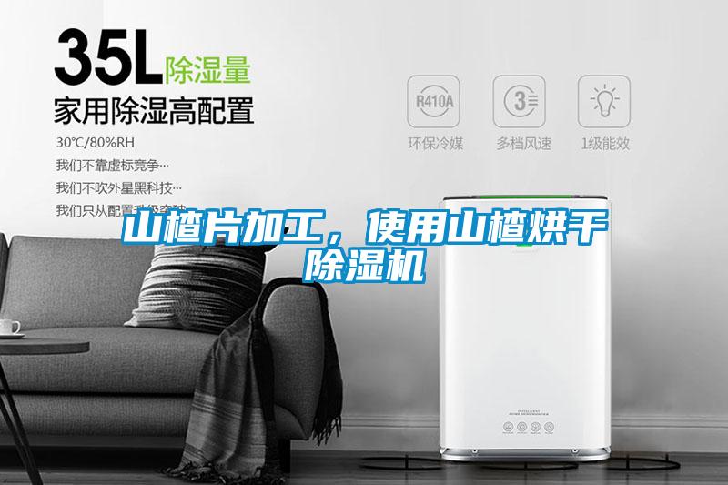 山楂片加工，使用山楂烘干除濕機