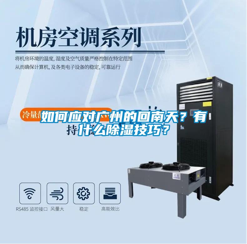如何應(yīng)對廣州的回南天？有什么除濕技巧？