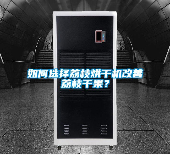 如何選擇荔枝烘干機改善荔枝干果？