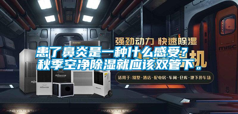 患了鼻炎是一種什么感受？ 秋季空凈除濕就應(yīng)該雙管下。