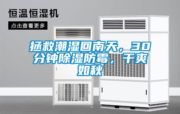 拯救潮濕回南天，30分鐘除濕防霉，干爽如秋