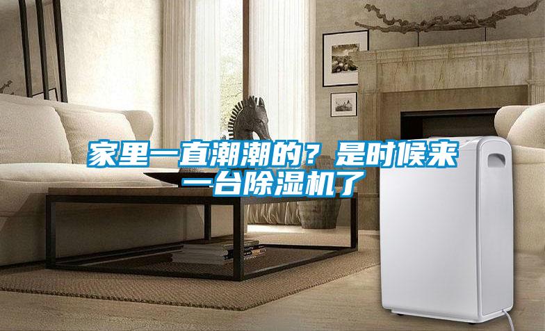家里一直潮潮的？是時(shí)候來(lái)一臺(tái)除濕機(jī)了