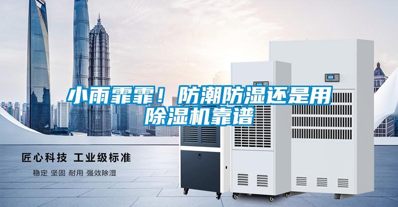 小雨霏霏！防潮防濕還是用除濕機靠譜