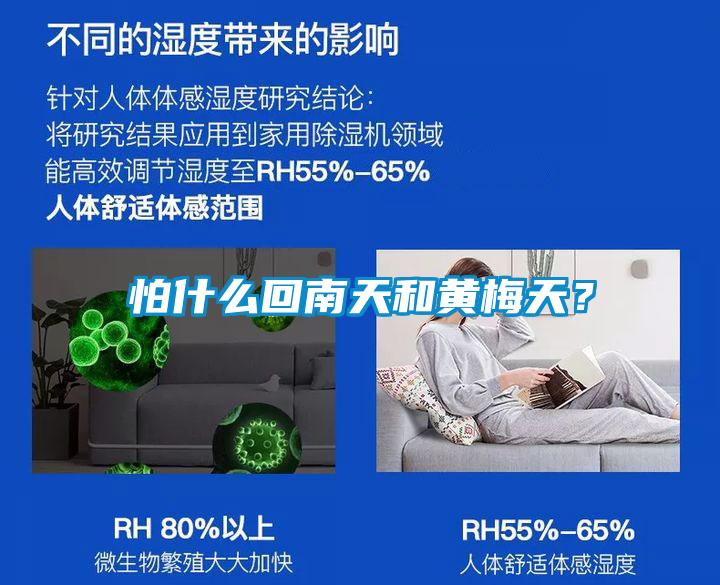 怕什么回南天和黃梅天？