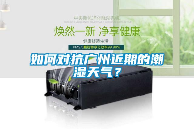 如何對抗廣州近期的潮濕天氣？