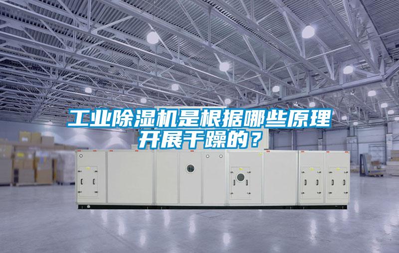 工業(yè)除濕機(jī)是根據(jù)哪些原理開展干躁的？