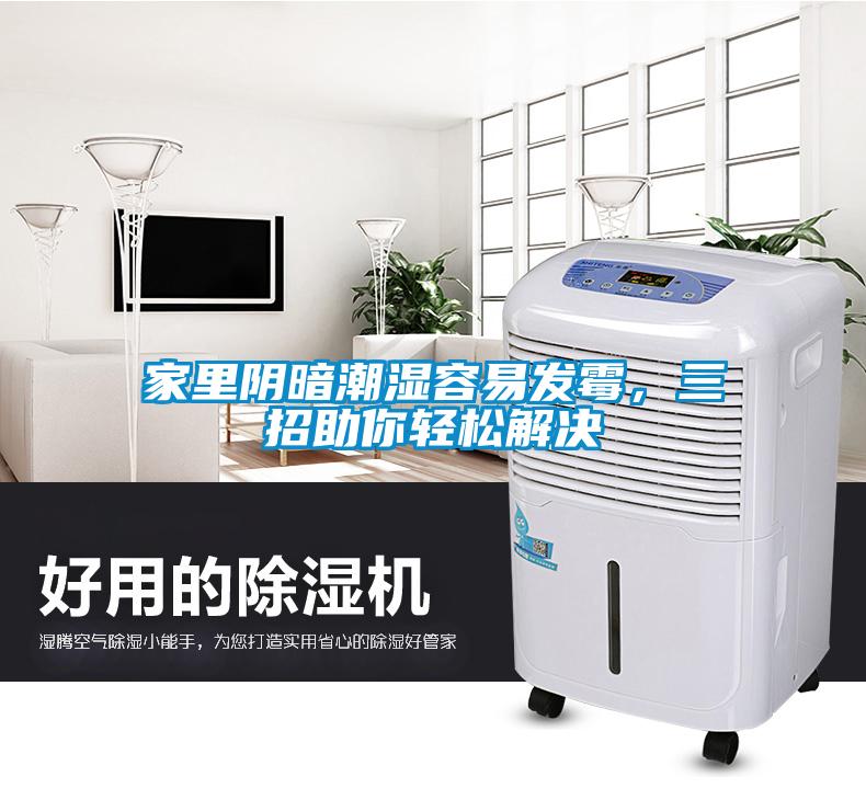 家里陰暗潮濕容易發(fā)霉，三招助你輕松解決