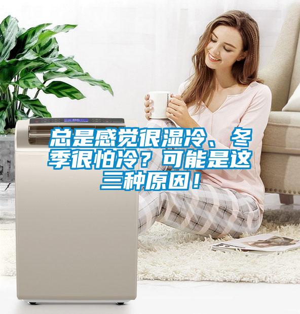 總是感覺很濕冷、冬季很怕冷？可能是這三種原因！