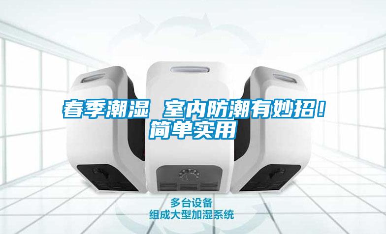 春季潮濕 室內(nèi)防潮有妙招！簡單實用
