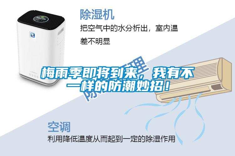 梅雨季即將到來，我有不一樣的防潮妙招！