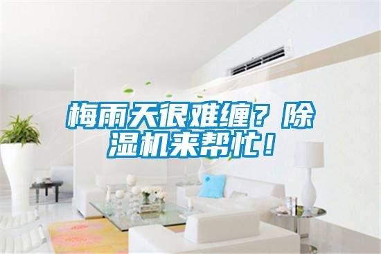 梅雨天很難纏？除濕機(jī)來(lái)幫忙！