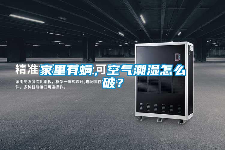 家里有螨，空氣潮濕怎么破？