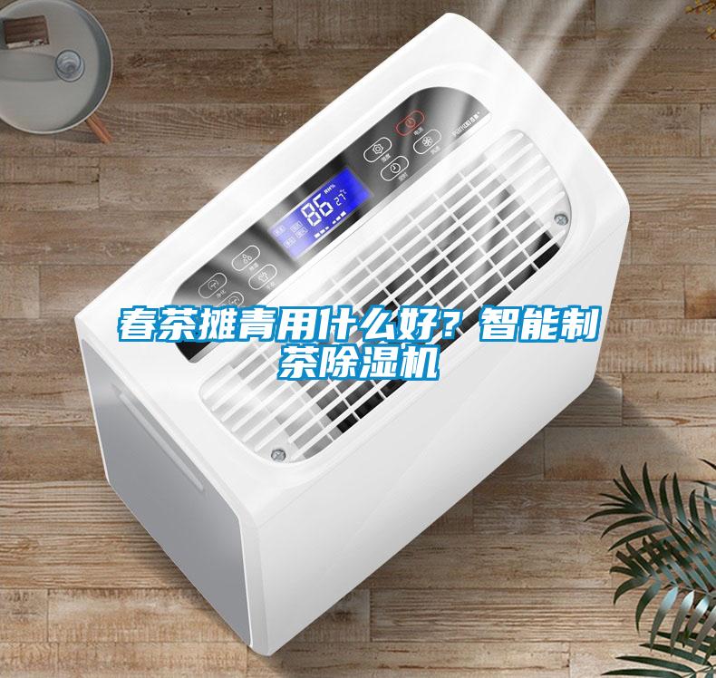 春茶攤青用什么好？智能制茶除濕機(jī)