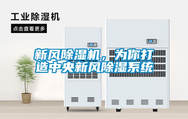 新風(fēng)除濕機(jī)，為你打造中央新風(fēng)除濕系統(tǒng)