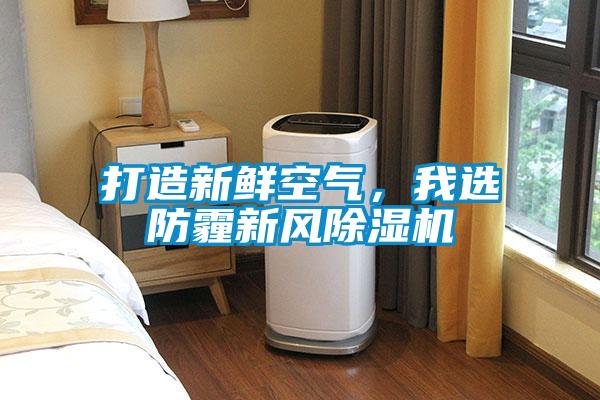 打造新鮮空氣，我選防霾新風(fēng)除濕機(jī)