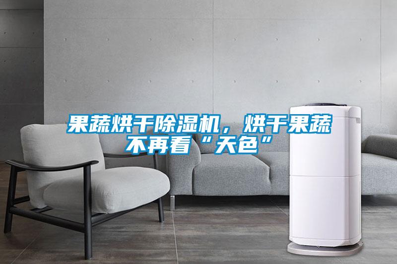 果蔬烘干除濕機(jī)，烘干果蔬不再看“天色”