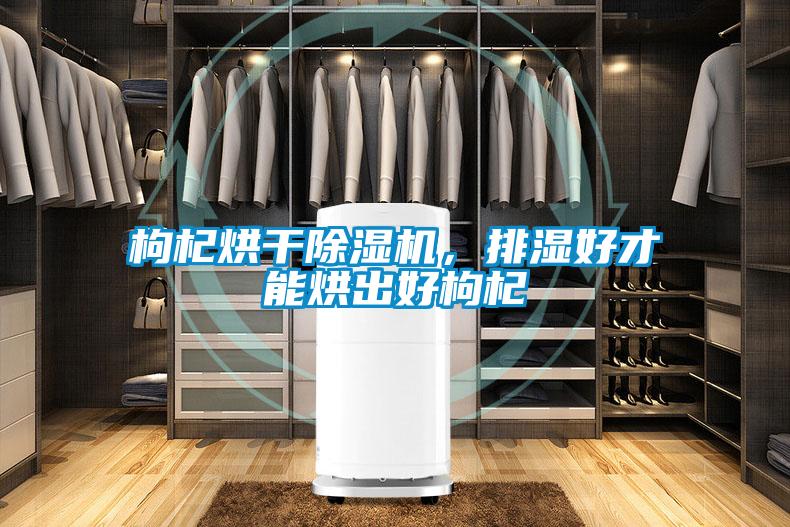 枸杞烘干除濕機，排濕好才能烘出好枸杞