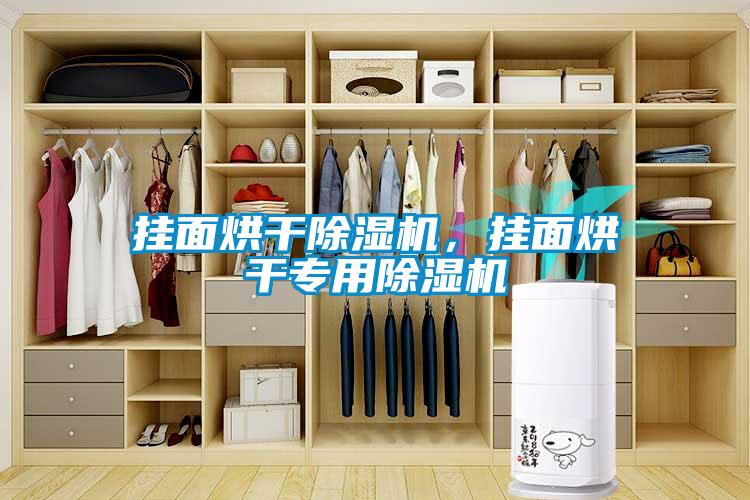 掛面烘干除濕機(jī)，掛面烘干專用除濕機(jī)