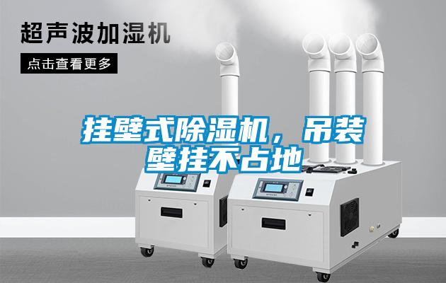 掛壁式除濕機(jī)，吊裝壁掛不占地