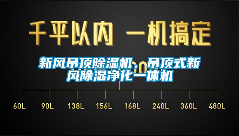 新風吊頂除濕機，吊頂式新風除濕凈化一體機