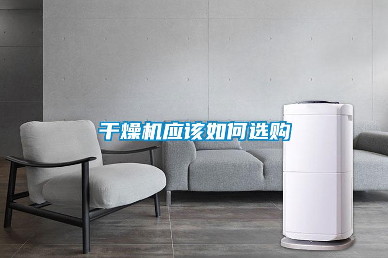 年年除濕年年濕，如何快速除濕？