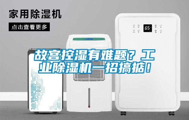 故宮控濕有難題？工業(yè)除濕機一招搞掂！