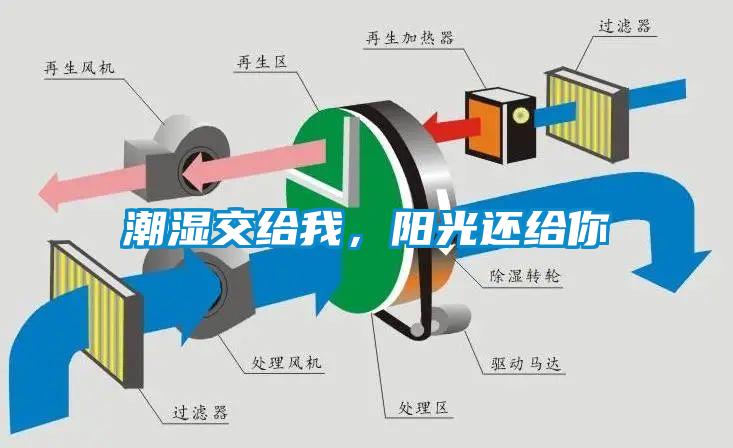 潮濕傷于無形，除濕機(jī)來防范