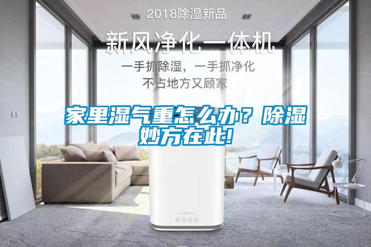 家里濕氣重怎么辦？除濕妙方在此!