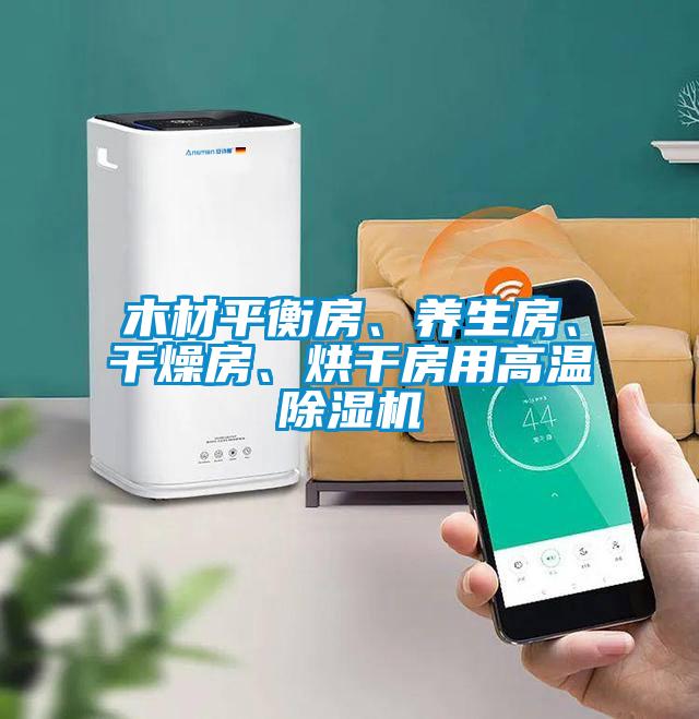 木材平衡房、養(yǎng)生房、干燥房、烘干房用高溫除濕機
