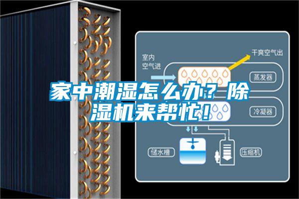 家中潮濕怎么辦？除濕機(jī)來幫忙！