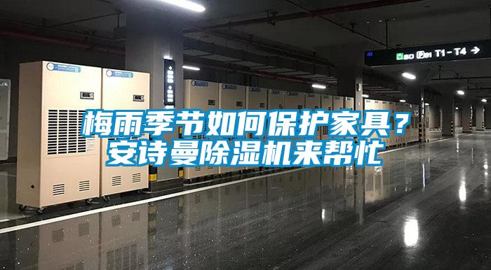 梅雨季節(jié)如何保護(hù)家具？安詩曼除濕機(jī)來幫忙