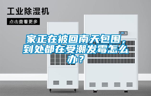 家正在被回南天包圍，到處都在受潮發(fā)霉怎么辦？