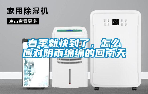 春季就快到了，怎么應(yīng)對(duì)陰雨綿綿的回南天