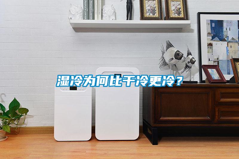 濕冷為何比干冷更冷？