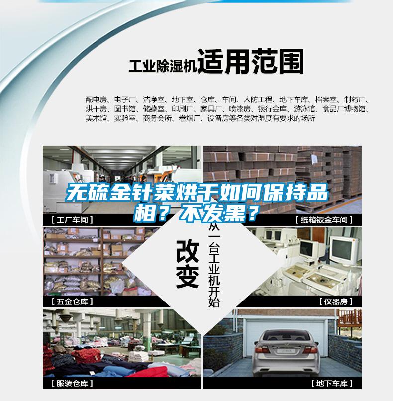 無硫金針菜烘干如何保持品相？不發(fā)黑？
