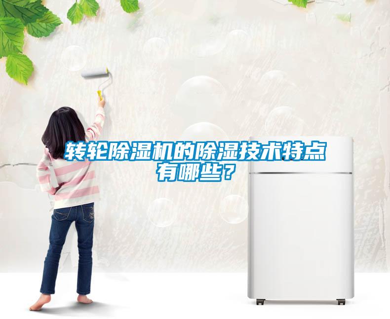 轉(zhuǎn)輪除濕機(jī)的除濕技術(shù)特點(diǎn)有哪些？