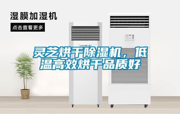 靈芝烘干除濕機(jī)，低溫高效烘干品質(zhì)好