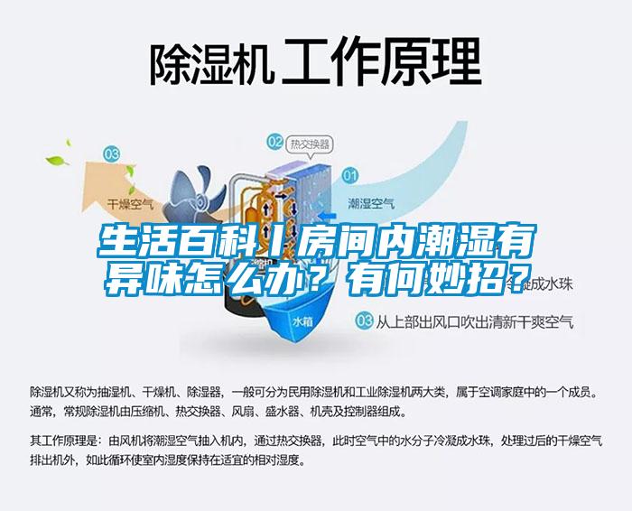 生活百科丨房間內(nèi)潮濕有異味怎么辦？有何妙招？